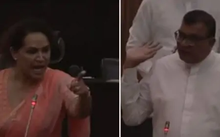 டயானா கமகே விவகாரத்தை விசாரிக்க குழு நியமனம்