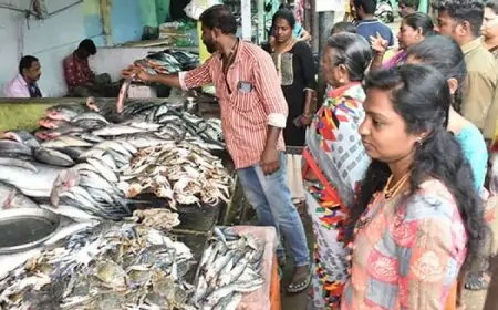 மீன் மற்றும் மரக்கறி விலையில் சடுதியாக ஏற்பட்டுள்ள மாற்றம்