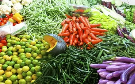 30 வீதம் உயர்ந்துள்ள மரக்கறி விலை... பல பகுதிகளில் பாதிக்கப்பட்டுள்ள உற்பத்தி 