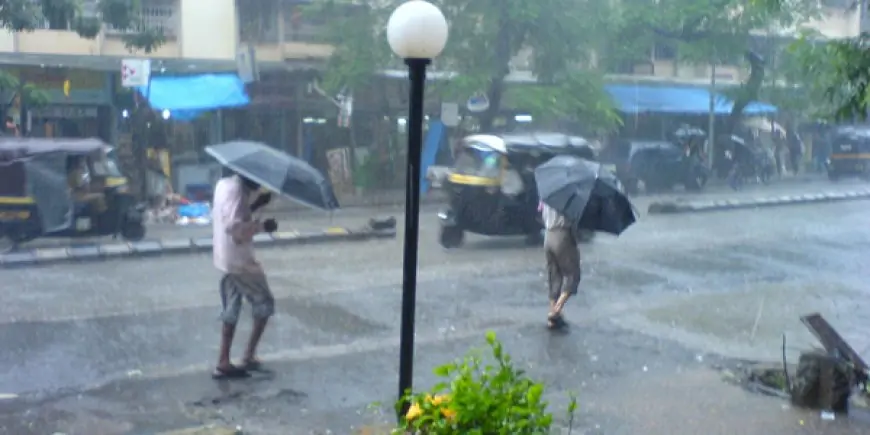 சீரற்ற காலநிலை காரணமாக 7 பேர் மரணம் – 54,000 பேர் பாதிப்பு