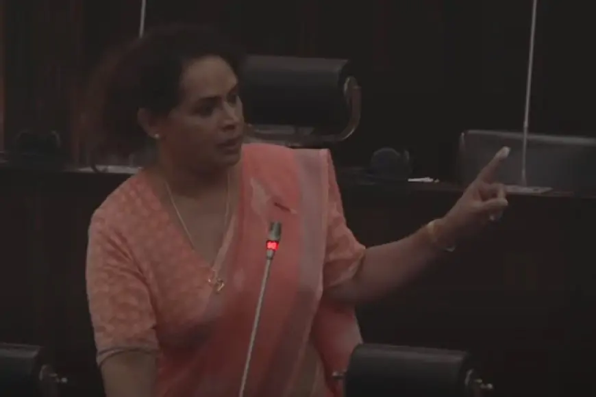 பாராளுமன்ற உறுப்பினர் டயனா கமகே மீது தாக்குதல்