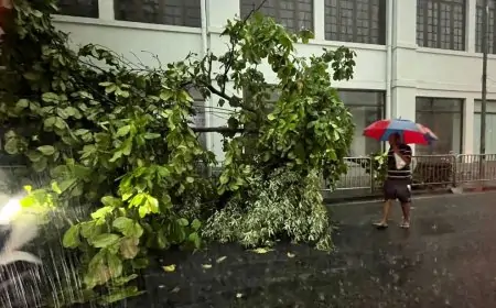 கொழும்பில் பெய்த கடும் மழை; பல பகுதிகளில் போக்குவரத்து நெரிசல்