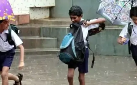 தொடர் மழை… எந்தெந்த மாவட்ட  பாடசாலைகளுக்கு இன்று விடுமுறை? 