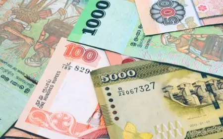 டொலரின் பெறுமதியில் இன்று ஏற்பட்டுள்ள திடீர் வீழ்ச்சி