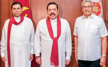 பொருளாதார நெருக்கடிக்கு ராஜபக்ஸர்களே பொறுப்பு; உயர்நீதிமன்றம் அதிரடி தீர்ப்பு