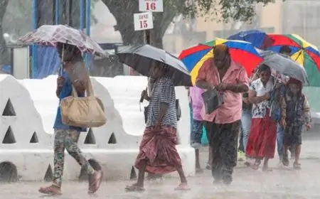 4 மாவட்டங்களில் கடும் மழை விடுக்கப்பட்டுள்ள எச்சரிக்கை