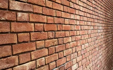 பாடசாலை மதில் சுவர் இடிந்து விழுந்து  மாணவி பலி; ஆறு மாணவர்கள் வைத்தியசாலையில்