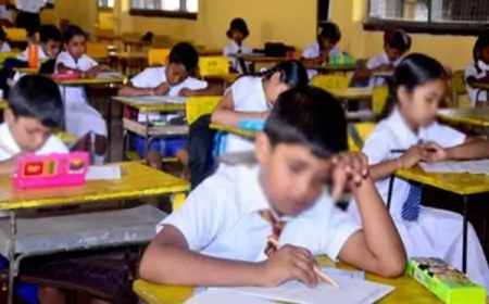 தரம் 5 புலமைப்பரிசில் பெறுபேறுகள் வெளியானது - மாவட்ட ரீதியிலான வெட்டுப்புள்ளிகள் இதோ!