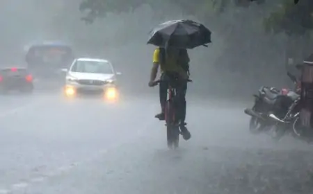 இன்றைய வானிலை அறிவித்தல்; மழை அல்லது இடியுடன் கூடிய மழை பெய்யும்...