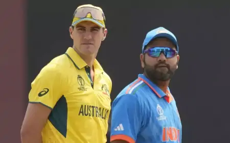 உலகக்கோப்பை இறுதிப்போட்டியால் நாளை பாடசாலைக்கு விடுமுறை ..  எங்கு தெரியுமா?