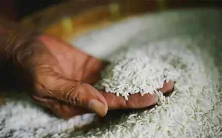 அரிசி இறக்குமதி தொடர்பில் அமைச்சரவை எடுத்துள்ள தீர்மானம்