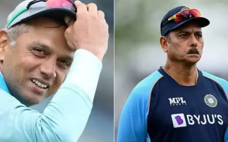 இந்தியாவின்  உலகக் கோப்பை தோல்விக்குப் பிறகு புதிய தலைமை பயிற்சியாளர் யார் தெரியுமா ?