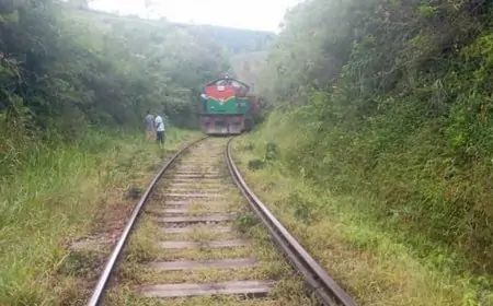 மலையக ரயில் சேவைகள் தொடர்பில் எடுக்கப்பட்டுள்ள தீர்மானம்