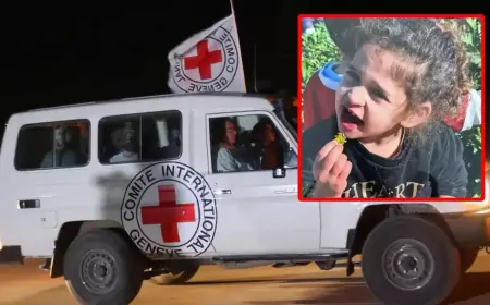 4 வயது அமெரிக்க சிறுமியை விடுவித்தது ஹமாஸ்