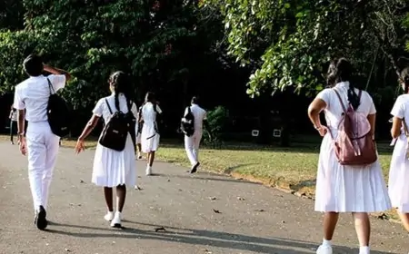 பாடசாலை மாணவிகள் தொடர்பில் கல்வி அமைச்சு எடுத்துள்ள நடவடிக்கை