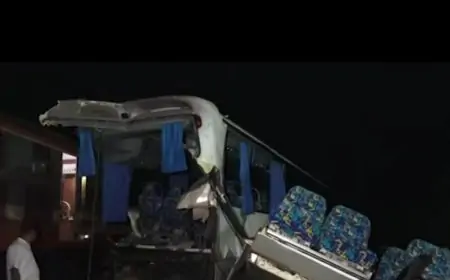 சுற்றுலா பயணிகளை ஏற்றிச் சென்ற பஸ் விபத்து