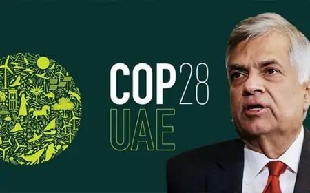 டுபாய் நோக்கி புறப்படுகிறார் ஜனாதிபதி 