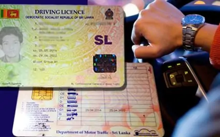 சாரதி ஓட்டுனர் உரிமம் அச்சிடுவதற்கு அட்டைகள் இல்லை; மாஃபியா குறித்தும் தகவல்!