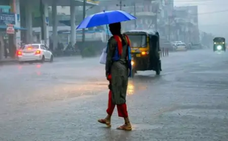 தமிழகத்தில் மேலும் 4 நாட்களுக்கு கனமழை... வானிலை ஆய்வு மையம் தகவல்!