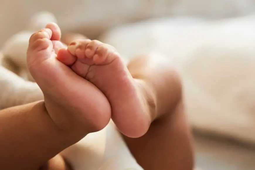 நீச்சல் குளத்தில் விழுந்த சிறுவன் பலி