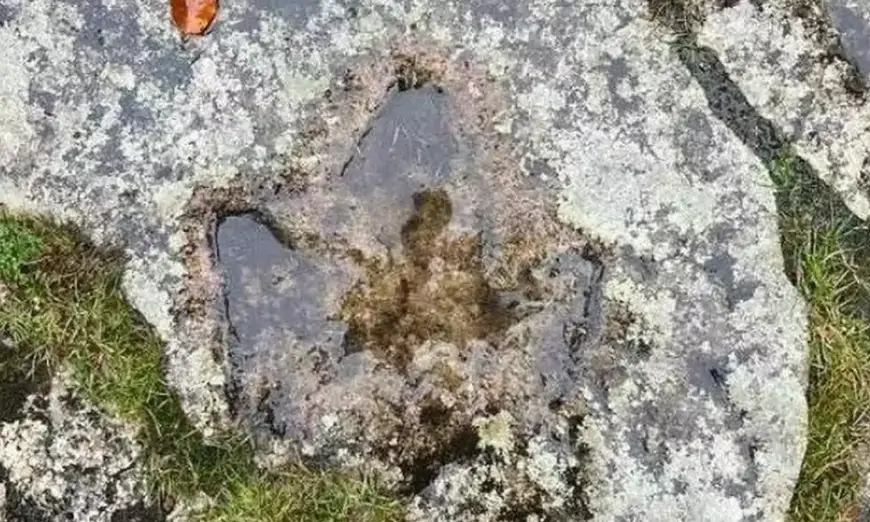 இங்கிலாந்தில் 140 மில்லியன் வருட டைனோசரின் கால் தடம் கண்டுபிடிப்பு