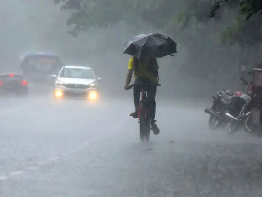 இன்றைய வானிலை அறிவித்தல்; மழை அல்லது இடியுடன் கூடிய மழை பெய்யும்...