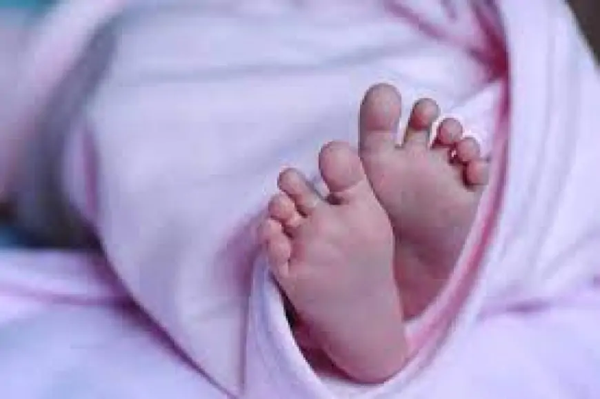 யாழ். போதனாவில் இரட்டை சிசுக்களை பிரசவித்த இளம் தாய் மரணம்
