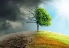 கடும் காலநிலை மாற்றங்களால் பட்டினிகிடக்கும் குழந்தைகள்!