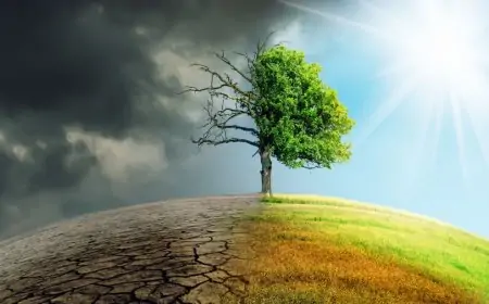 கடும் காலநிலை மாற்றங்களால் பட்டினிகிடக்கும் குழந்தைகள்!