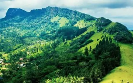 மலைத்தொடரில் சிக்கி மாயமான 180 மாணவர்கள் மீட்கப்பட்டனர்