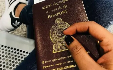 புதிய விசாவை அறிமுகப்படுத்தும் இலங்கை... வெளியான அறிவிப்பு