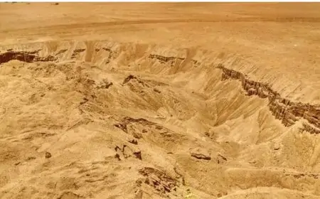 தங்கம் கலந்த மண் ஏற்றுமதி குறித்து தீவிர விசாரணை!