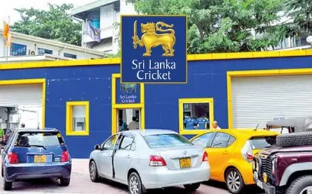 இடைக்கால கிரிக்கெட் குழு இரத்து - அமைச்சர் அதிரடி