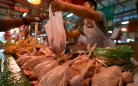 கோழி இறைச்சியின் விலை இன்று முதல் அதிகரிப்பு... வெளியான அறிவிப்பு