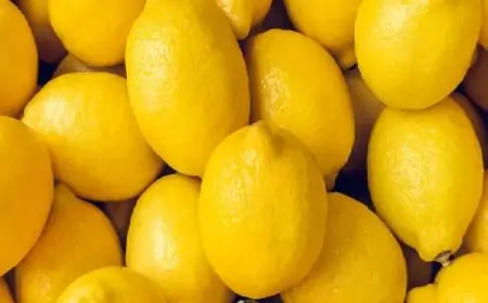 சந்தையில் சடுதியாக வீழ்ச்சியடைந்த எலுமிச்சைப்பழத்தின் விலை 