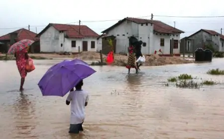 யாழ்ப்பாணம் மாவட்டத்தில் மழையால் 71 குடும்பங்கள் பாதிப்பு