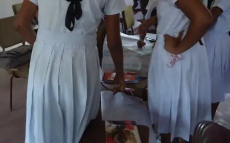 மாணவிகளை துஷ்பிரயோகம் செய்து நிர்வாண வீடியோ எடுத்த இரண்டு பாடசாலை மாணவர்கள் கைது