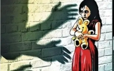 ஆபாச காணொளி; கூகுள் வழங்கிய தகவலின்படி கொழும்பில் இளைஞன் கைது 