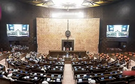 இடைநீக்கம் செய்யப்பட்ட எம்.பி.க்கள் எண்ணிக்கை 146 ஆக உயர்வு