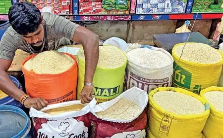 நள்ளிரவு முதல் அத்தியாவசிய உணவுப் பொருட்களின் விலை குறைப்பு