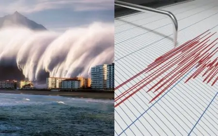 ஜப்பானின் பாரிய நிலநடுக்கம்: சுனாமி எச்சரிக்கை தொடர்பில் வெளியான தகவல்