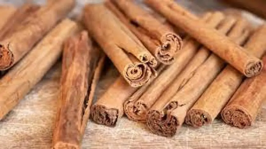 கறுவாப்பட்டையின் விலை ரூ.500ஆக குறைந்தது!