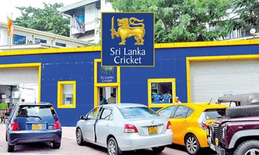 இடைக்கால கிரிக்கெட் குழு இரத்து - அமைச்சர் அதிரடி