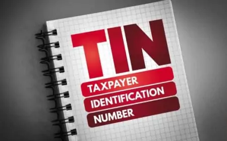 கட்டாய வரி எண்ணை (TIN) எவ்வாறு பெறுவது? விவரம் இதோ!