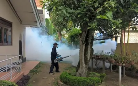 விசேட டெங்கு ஒழிப்பு வாரம் நடைமுறை