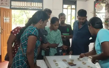 10 புனிதர்களின் திருப்பண்டங்கள் அடங்கிய பேழை மீட்பு