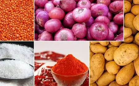 அத்தியாவசிய பொருட்களுக்கு அதிகபட்ச விலை நிர்ணயம்