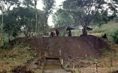 அமேசான் காட்டுக்குள் பிரமிக்க வைக்கும் வீடுகள்... கண்டுபிடிக்கப்பட்ட 2,500 ஆண்டுகள் பழைய நகரம் 