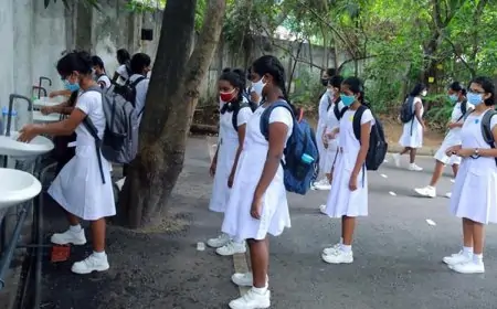 பாடசாலை முறைமையில் ஏற்படவுள்ள மாற்றம்; வெளியான தகவல்