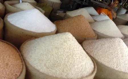 அரிசி இறக்குமதி குறித்து வெளியான தகவல்